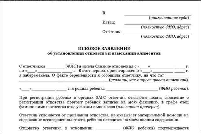 Как подать на алименты матери одиночке и установить отцовство