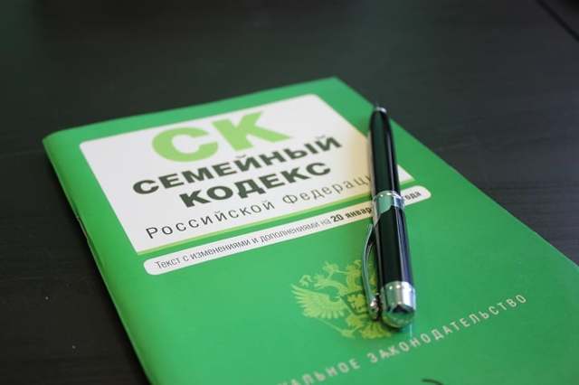 Как подать на алименты на мать: основания для удержания выплат