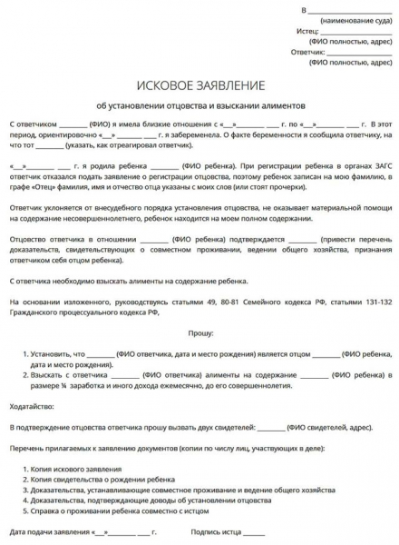 Как подать на установление отцовства и алименты