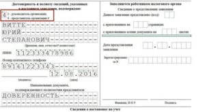 Как Подать Заявление на Енвд Онлайн