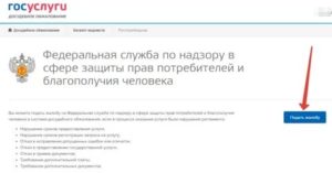 Как подать заявление в прокуратуру о мошенничестве через портал госуслуг
