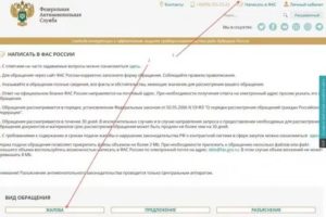 Как Подписать Жалобу в Фас Эцп