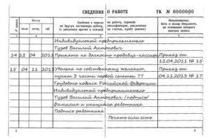 Как Подписывает Трудовую Книжку Индивидуальный Предприниматель