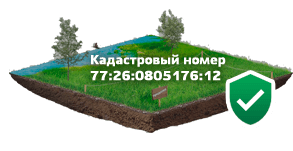 Как получить информацию о плане участка с использованием кадастрового номера