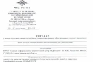 Как Получить Справку о Судимости Другого Человека