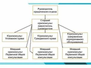 Как Правильно Должность Юрист Или Юрисконсульт