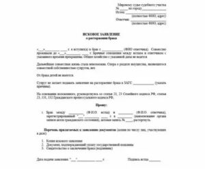 Как Правильно Написать Заявление Мировому Судье Образец