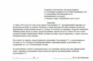 Как правильно написать заявление в полицию на соседей которые шумят образец