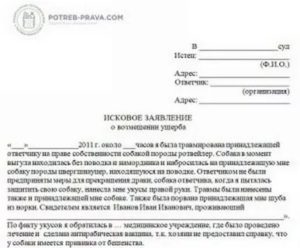 Как правильно написать заявление в полицию о нападении собаки