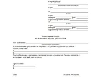Как правильно оформить заявление в прокуратуру с просьбой провести проверку