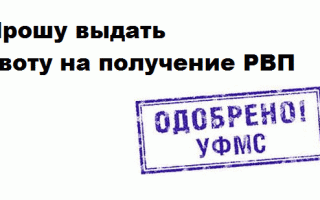 Как правильно составить заявление на квоту на рвп