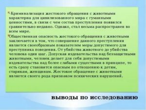 Как привлечь к уголовной ответственности за жестокое обращение с животными