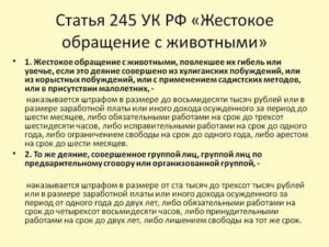 Как привлечь к уголовной ответственности за жестокое обращение с животными
