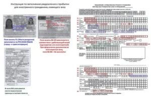 Как Продлить Регистрацию Белорусу по Трудовому Договору