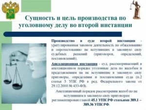 Как Проходит Кассационный Суд по Уголовному Делу
