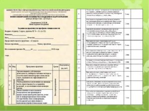 Как Проходить Практику на Заочке Если Работаешь
