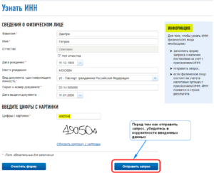 Как проверить есть ли у ребенка инн