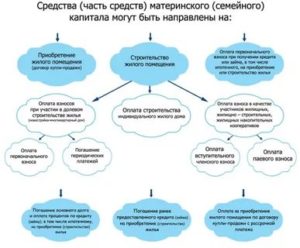 Как Распределяется Материнский Капитал Между Детьми