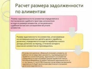 Как Рассчитать Алименты Если Должник не Работает