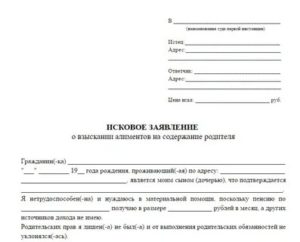 Как Составить Заявление в Суд на Алименты