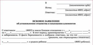 Как Стать Матерью Одиночкой После Установления Отцовства