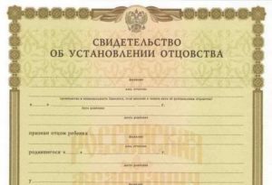 Как Стать Матерью Одиночкой После Установления Отцовства