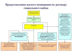 Как Узнать Есть ли Договор Социального Найма