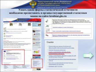 Как узнать какую статистическую отчетность сдавать организации?