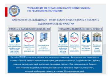 Как узнать налоговые задолженности физическим лицам?