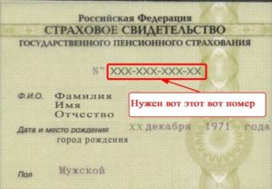 Как узнать снилс по свидетельству о рождении ребенка через интернет
