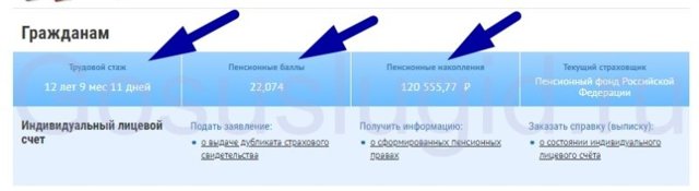 Как узнать свой трудовой стаж по снилс онлайн через госуслуги