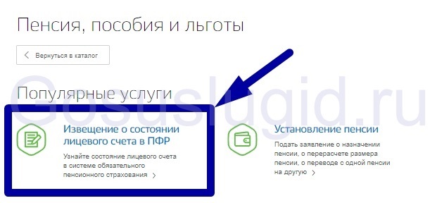 Как узнать свой трудовой стаж по снилс онлайн через госуслуги