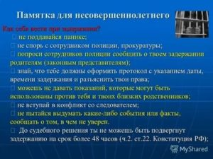 Как Вести Себя При Задержании Сотрудниками Полиции