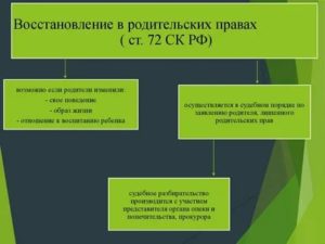 Как Восстановиться в Родительских Правах После Лишения