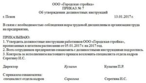 Как Ввести в Действие Должностную Инструкцию