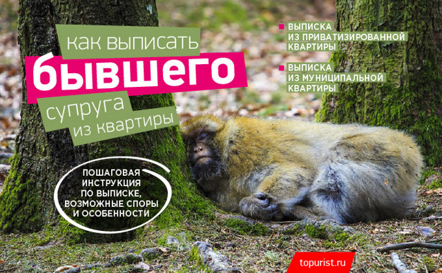 Как выписать бывшего мужа из квартиры после развода без его согласия