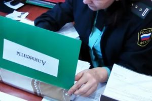 Как Взыскать Алименты Через Судебных Приставов