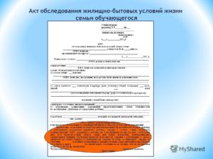 Как заполнить акт обследования жилищно-бытовых условий образец или бланк?