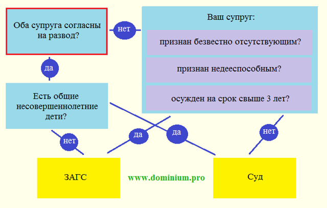 Какие документы нужны для развода в суде и загсе