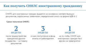 Какие нужны документы чтобы сделать снилс новорожденному ребенку