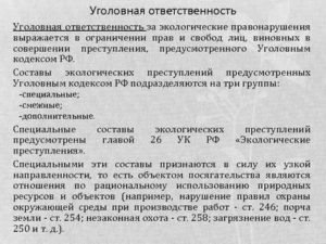 Какие составы экологических преступлений сформулированы в уголовном кодексе