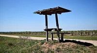 Какие виды наказаний предусмотены за мелкое взяточничество