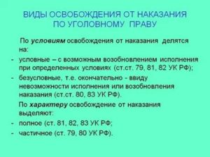 Какие виды освобождения от наказания можно применить к беременным