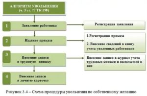 Какой Нормативный Документ Регламентирует Порядок Увольнения Работников