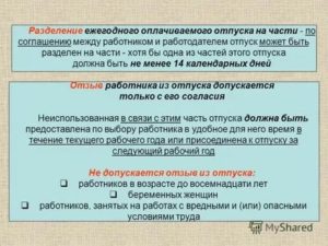 Какой Промежуток Времени Должен Быть Между Отпусками