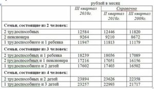 Какой Прожиточный Минимум Для Многодетной Семьи