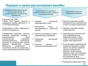 Какой Срок Дается на Рассмотрение Заявления