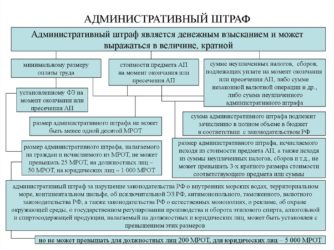 Какой срок оплаты штрафа за административное правонарушение?