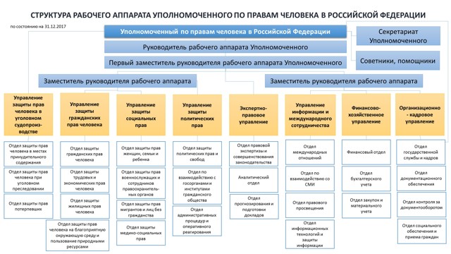 Каковы функции и обязанности уполномоченного по правам ребенка в россии