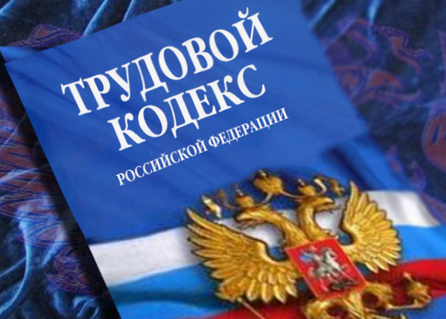 Какую ответственность несет нарушитель трудовой дисциплины
